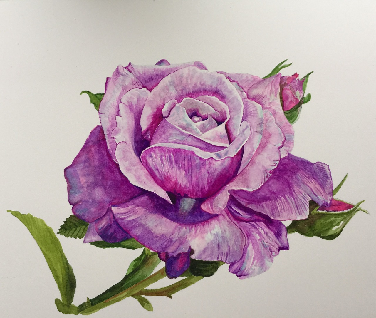 How To Paint A Flower With Watercolors Watercolor Planet